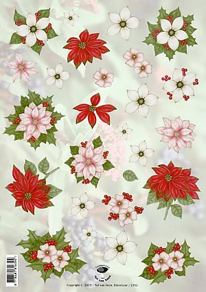 knipvellen/nel van veen/99003-2352.jpg